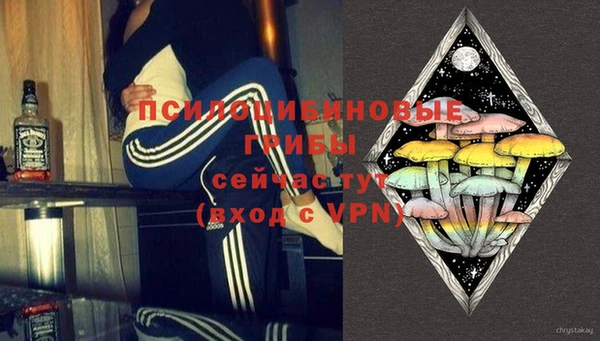 трава Гусиноозёрск