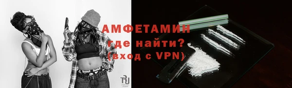 трава Гусиноозёрск