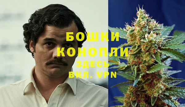 jwh Гусь-Хрустальный