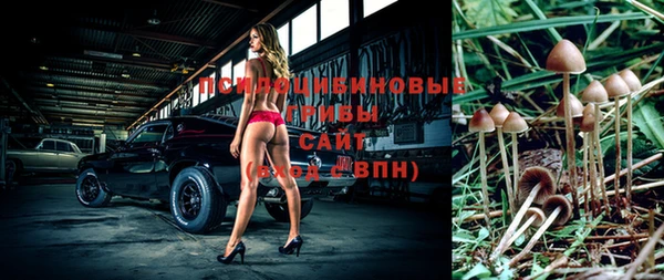 трава Гусиноозёрск