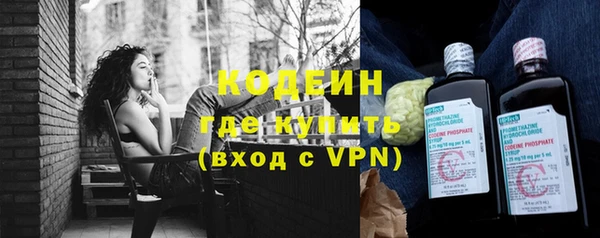 трава Гусиноозёрск